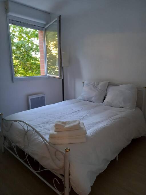 Appartement Cosy Cugnaux 外观 照片